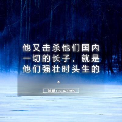 Picture 05 - 诗 篇 105:36 CUVS - 他 又 击 杀 他 们 国 内 一 切 的 长 - Bible Verse Picture