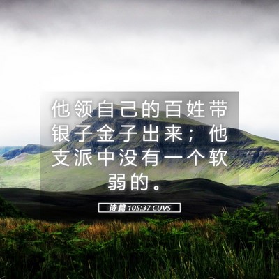 Picture 05 - 诗 篇 105:37 CUVS - 他 领 自 己 的 百 姓 带 银 子 金 子 - Bible Verse Picture