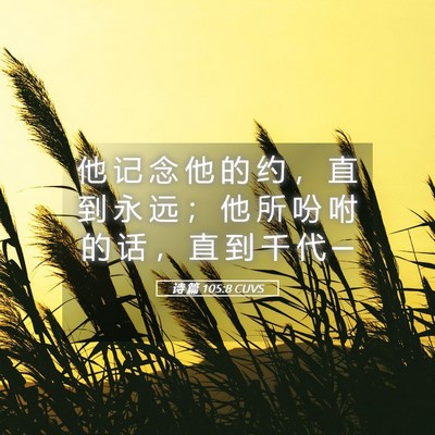 Picture 05 - 诗 篇 105:8 CUVS - 他 记 念 他 的 约 ， 直 到 永 远 ； - Bible Verse Picture