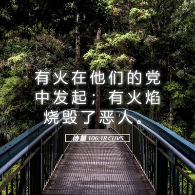 Picture 05 - 诗 篇 106:18 CUVS - 有 火 在 他 们 的 党 中 发 起 ； 有 - Bible Verse Picture