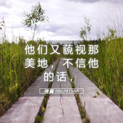 Picture 05 - 诗 篇 106:24 CUVS - 他 们 又 藐 视 那 美 地 ， 不 信 他 - Bible Verse Picture