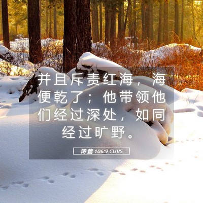 Picture 05 - 诗 篇 106:9 CUVS - 并 且 斥 责 红 海 ， 海 便 乾 了 ； - Bible Verse Picture