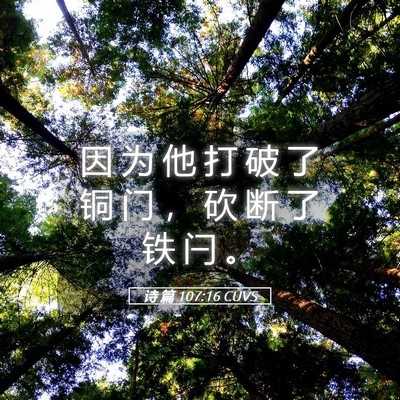 Picture 05 - 诗 篇 107:16 CUVS - 因 为 他 打 破 了 铜 门 ， 砍 断 了 - Bible Verse Picture