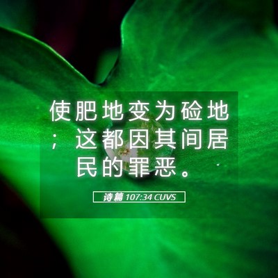 Picture 05 - 诗 篇 107:34 CUVS - 使 肥 地 变 为 硷 地 ； 这 都 因 其 - Bible Verse Picture