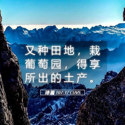 Picture 05 - 诗 篇 107:37 CUVS - 又 种 田 地 ， 栽 葡 萄 园 ， 得 享 - Bible Verse Picture