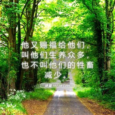 Picture 05 - 诗 篇 107:38 CUVS - 他 又 赐 福 给 他 们 ， 叫 他 们 生 - Bible Verse Picture