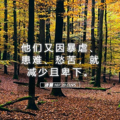 Picture 05 - 诗 篇 107:39 CUVS - 他 们 又 因 暴 虐 、 患 难 、 愁 苦 - Bible Verse Picture