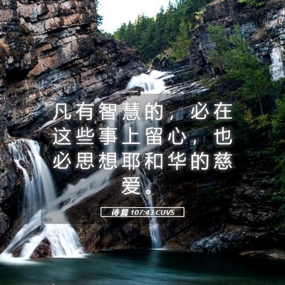 Picture 05 - 诗 篇 107:43 CUVS - 凡 有 智 慧 的 ， 必 在 这 些 事 上 - Bible Verse Picture