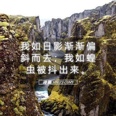 Picture 05 - 诗 篇 109:23 CUVS - 我 如 日 影 渐 渐 偏 斜 而 去 ； 我 - Bible Verse Picture