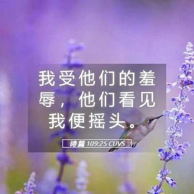 Picture 05 - 诗 篇 109:25 CUVS - 我 受 他 们 的 羞 辱 ， 他 们 看 见 - Bible Verse Picture