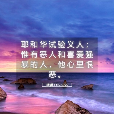 Picture 05 - 诗 篇 11:5 CUVS - 耶 和 华 试 验 义 人 ； 惟 有 恶 人 - Bible Verse Picture