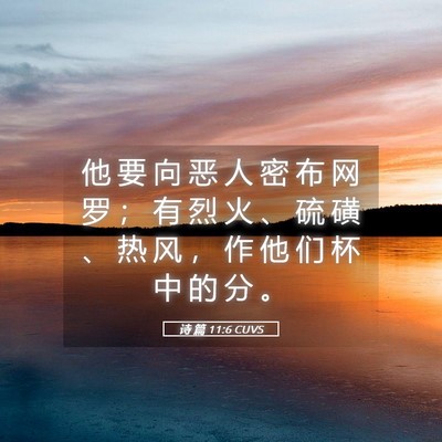 Picture 05 - 诗 篇 11:6 CUVS - 他 要 向 恶 人 密 布 网 罗 ； 有 烈 - Bible Verse Picture