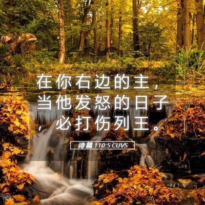 Picture 05 - 诗 篇 110:5 CUVS - 在 你 右 边 的 主 ， 当 他 发 怒 的 - Bible Verse Picture