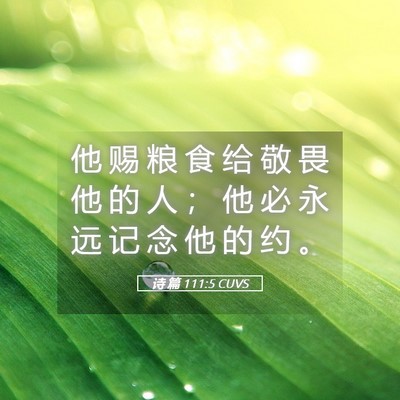 Picture 05 - 诗 篇 111:5 CUVS - 他 赐 粮 食 给 敬 畏 他 的 人 ； 他 - Bible Verse Picture