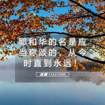 Picture 05 - 诗 篇 113:2 CUVS - 耶 和 华 的 名 是 应 当 称 颂 的 ， - Bible Verse Picture