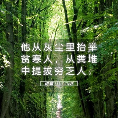 Picture 05 - 诗 篇 113:7 CUVS - 他 从 灰 尘 里 抬 举 贫 寒 人 ， 从 - Bible Verse Picture