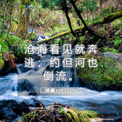Picture 05 - 诗 篇 114:3 CUVS - 沧 海 看 见 就 奔 逃 ； 约 但 河 也 - Bible Verse Picture