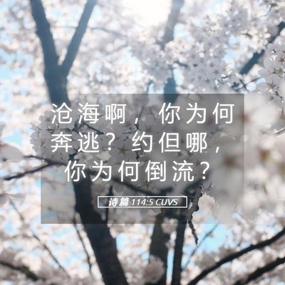 Picture 05 - 诗 篇 114:5 CUVS - 沧 海 啊 ， 你 为 何 奔 逃 ？ 约 但 - Bible Verse Picture