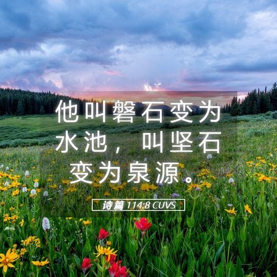 Picture 05 - 诗 篇 114:8 CUVS - 他 叫 磐 石 变 为 水 池 ， 叫 坚 石 - Bible Verse Picture