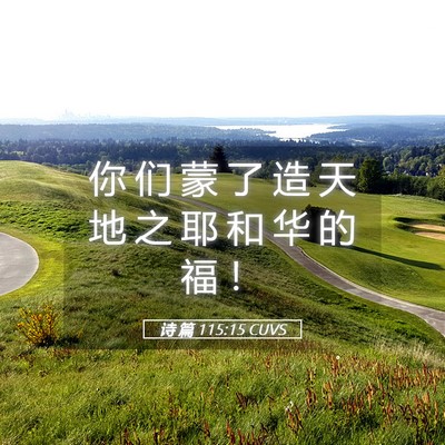 Picture 05 - 诗 篇 115:15 CUVS - 你 们 蒙 了 造 天 地 之 耶 和 华 的 - Bible Verse Picture