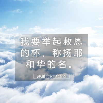 Picture 05 - 诗 篇 116:13 CUVS - 我 要 举 起 救 恩 的 杯 ， 称 扬 耶 - Bible Verse Picture