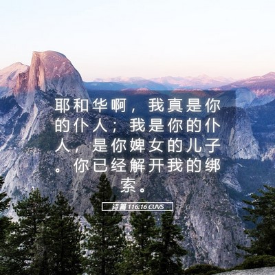 Picture 05 - 诗 篇 116:16 CUVS - 耶 和 华 啊 ， 我 真 是 你 的 仆 人 - Bible Verse Picture