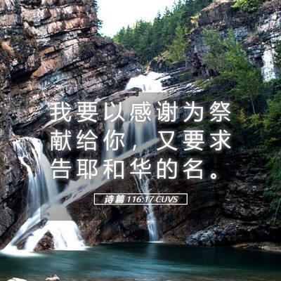 Picture 05 - 诗 篇 116:17 CUVS - 我 要 以 感 谢 为 祭 献 给 你 ， 又 - Bible Verse Picture