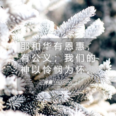 Picture 05 - 诗 篇 116:5 CUVS - 耶 和 华 有 恩 惠 ， 有 公 义 ； 我 - Bible Verse Picture
