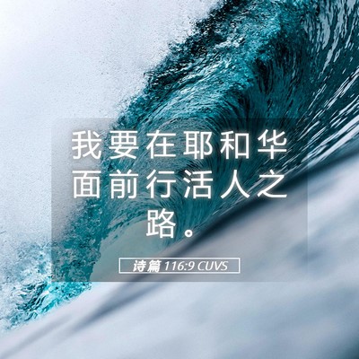 Picture 05 - 诗 篇 116:9 CUVS - 我 要 在 耶 和 华 面 前 行 活 人 之 - Bible Verse Picture