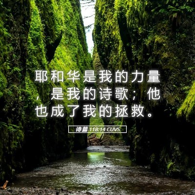 Picture 05 - 诗 篇 118:14 CUVS - 耶 和 华 是 我 的 力 量 ， 是 我 的 - Bible Verse Picture