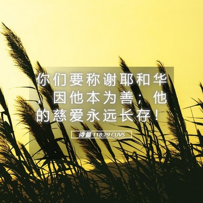 Picture 05 - 诗 篇 118:29 CUVS - 你 们 要 称 谢 耶 和 华 ， 因 他 本 - Bible Verse Picture