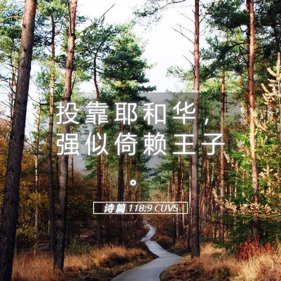 Picture 05 - 诗 篇 118:9 CUVS - 投 靠 耶 和 华 ， 强 似 倚 赖 王 子 - Bible Verse Picture