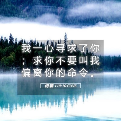 Picture 05 - 诗 篇 119:10 CUVS - 我 一 心 寻 求 了 你 ； 求 你 不 要 - Bible Verse Picture