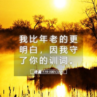 Picture 05 - 诗 篇 119:100 CUVS - 我 比 年 老 的 更 明 白 ， 因 我 守 - Bible Verse Picture