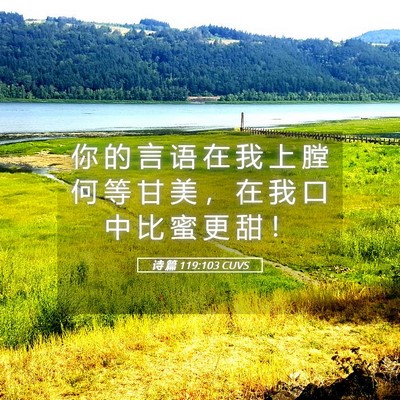 Picture 05 - 诗 篇 119:103 CUVS - 你 的 言 语 在 我 上 膛 何 等 甘 美 - Bible Verse Picture