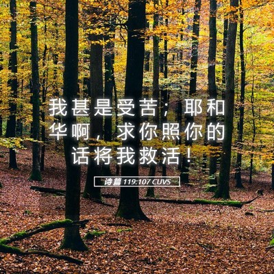 Picture 05 - 诗 篇 119:107 CUVS - 我 甚 是 受 苦 ； 耶 和 华 啊 ， 求 - Bible Verse Picture