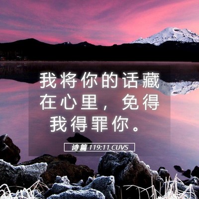 Picture 05 - 诗 篇 119:11 CUVS - 我 将 你 的 话 藏 在 心 里 ， 免 得 - Bible Verse Picture