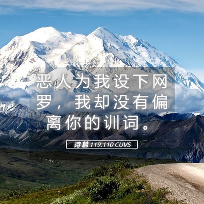 Picture 05 - 诗 篇 119:110 CUVS - 恶 人 为 我 设 下 网 罗 ， 我 却 没 - Bible Verse Picture