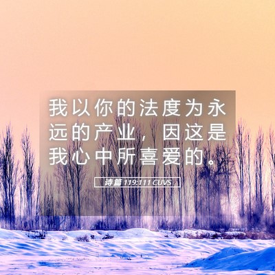 Picture 05 - 诗 篇 119:111 CUVS - 我 以 你 的 法 度 为 永 远 的 产 业 - Bible Verse Picture