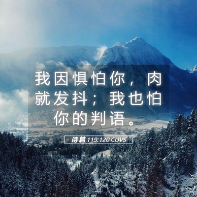 Picture 05 - 诗 篇 119:120 CUVS - 我 因 惧 怕 你 ， 肉 就 发 抖 ； 我 - Bible Verse Picture