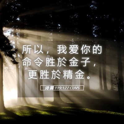Picture 05 - 诗 篇 119:127 CUVS - 所 以 ， 我 爱 你 的 命 令 胜 於 金 - Bible Verse Picture