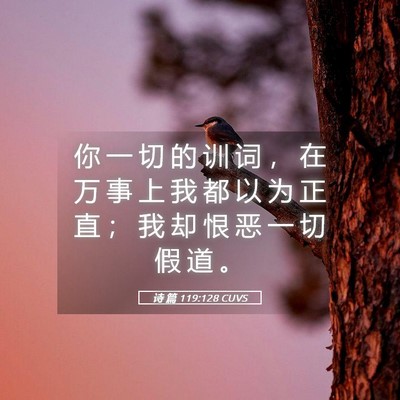 Picture 05 - 诗 篇 119:128 CUVS - 你 一 切 的 训 词 ， 在 万 事 上 我 - Bible Verse Picture