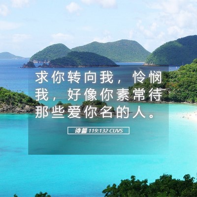 Picture 05 - 诗 篇 119:132 CUVS - 求 你 转 向 我 ， 怜 悯 我 ， 好 像 - Bible Verse Picture