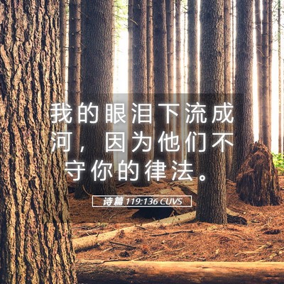 Picture 05 - 诗 篇 119:136 CUVS - 我 的 眼 泪 下 流 成 河 ， 因 为 他 - Bible Verse Picture