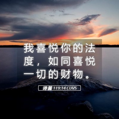 Picture 05 - 诗 篇 119:14 CUVS - 我 喜 悦 你 的 法 度 ， 如 同 喜 悦 - Bible Verse Picture