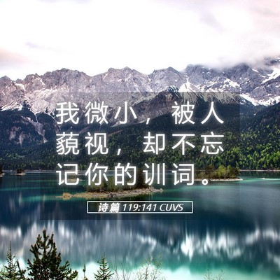 Picture 05 - 诗 篇 119:141 CUVS - 我 微 小 ， 被 人 藐 视 ， 却 不 忘 - Bible Verse Picture