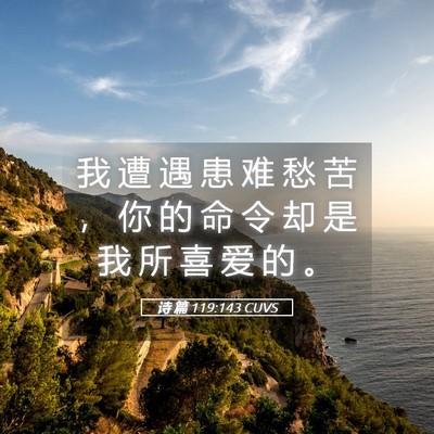 Picture 05 - 诗 篇 119:143 CUVS - 我 遭 遇 患 难 愁 苦 ， 你 的 命 令 - Bible Verse Picture