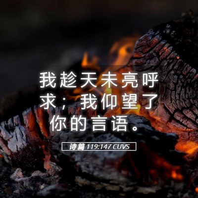 Picture 05 - 诗 篇 119:147 CUVS - 我 趁 天 未 亮 呼 求 ； 我 仰 望 了 - Bible Verse Picture