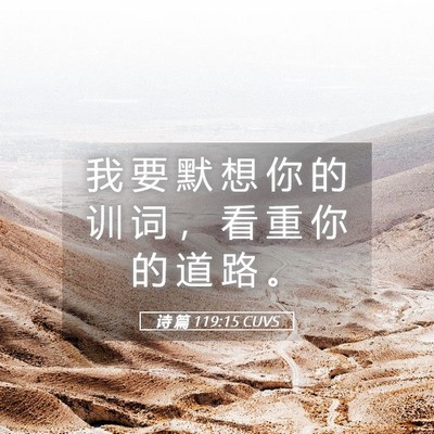 Picture 05 - 诗 篇 119:15 CUVS - 我 要 默 想 你 的 训 词 ， 看 重 你 - Bible Verse Picture