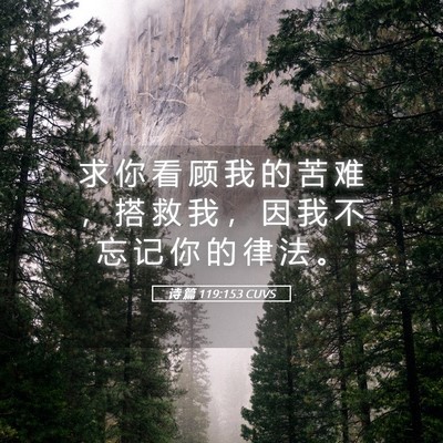 Picture 05 - 诗 篇 119:153 CUVS - 求 你 看 顾 我 的 苦 难 ， 搭 救 我 - Bible Verse Picture